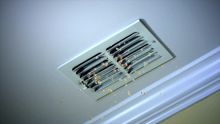 Reliable New Glarus, WI Airduct Cleaning Solutions